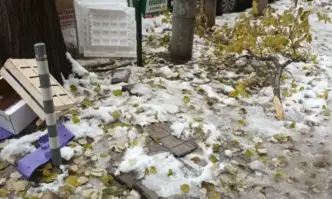 Предозиране: Кметът Терзиев смята, че при предишния сняг са се справили. София не била блокирана