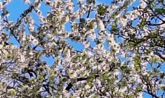 Днес преди обяд ще е предимно слънчево След обяд ще