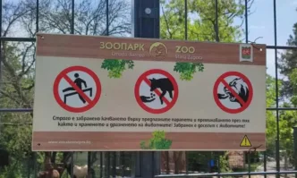 Бременна жена пострада при инцидент в зоопарка в Стара Загора