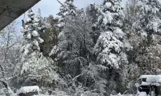 Кметът на Панчарево Евгения Алексиева е била на терен и