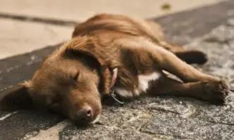 Няколко чутовни глупости и неистини които ще чуете в този