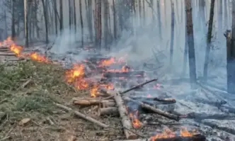 Над 30 часа продължава борбата с огъня в Сакар планина