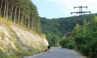 Заложени са 15 капана с примки за пумата в Шумен