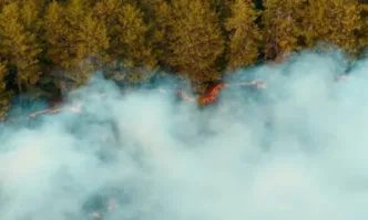 Пожар горя на Витоша край хижа Момина скала