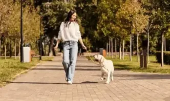 Собственици на кучета във Виена получават вода, за отмиване следите им от дърветата