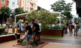 Дърво падна върху павилион с навес на едно от заведенията