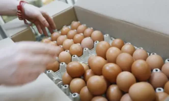 Актуалните данни за цените на дребно за осмата седмица на