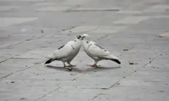 Кои романтични филми да гледаме на 14 февруари Хубава жена Това