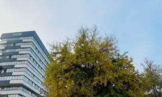 Влизат в сила нови правила при изчисляване на паричните обезщетения