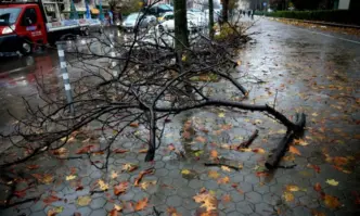 Автор Ивайло Ачев Знаете ли къде се намира Клондайк И