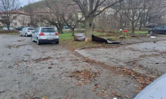 Десетки сигнали за паднали дървета клони и изолации на сгради