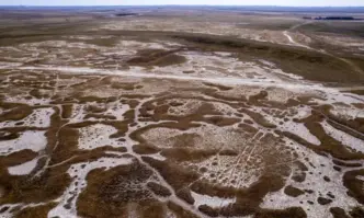 През изминалото лято на 2024 г ще бъдат регистрирани най високите