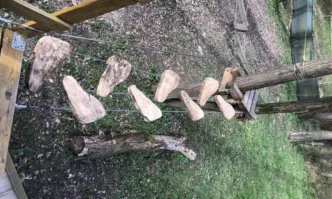 Въженият парк в Благоевград отваря врати на 3 април понеделник