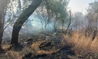 Пожарът около хотел Острова е овладян предаде репортер на Tribune Изключително