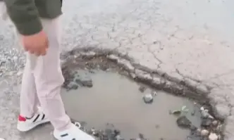 Дива растителност покрива пътните знаци Дупки са се отворили след