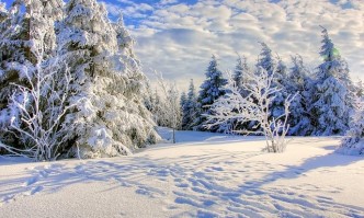 Жълт код за силен вятър и превалявания от сняг в много части на България