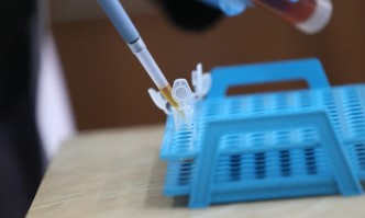 Статистиката на Единния информационен портал за последното денонощие показва че