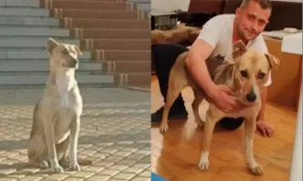 Кучето което присъства по време на откриването на 48 то Народно