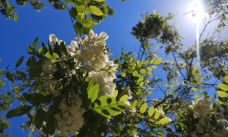 Днес ще бъде слънчево с разкъсана висока облачност Ще е