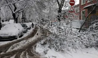 Софиянци гневни - десетки коли под нападалите дървета, непочистени квартални улици и липса на ток