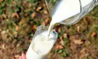 Млекопреработвателите в протестна готовност