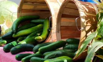 Рекордна цена на краставиците до осем лева стигна в