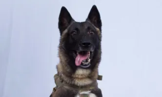 Тръмп показа кучето, помогнало при акцията срещу Багдади
