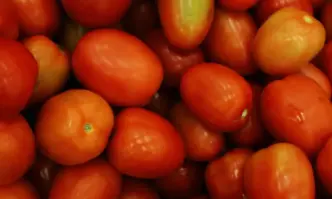 В магазина - в края на юли домати от Полша?!