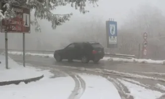 Снимката е описателна
