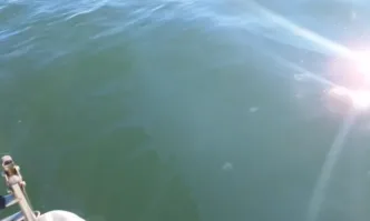 Екип от доброволци откри нефтено петно в морето близо до