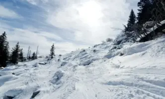 Общо 12 души – четири семейства с деца едното от