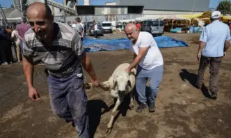 Близо 16 000 месари любители са били ранени в Турция