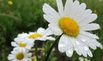 Днес облачността ще е значителна на много места с валежи