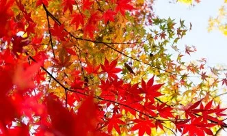 Денят на есенното равноденствие е магически
