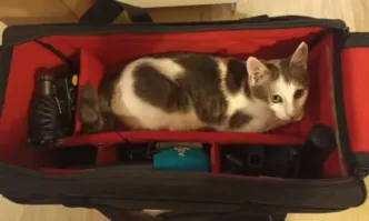 В деня на изборите БТВ реши да пусне новина как