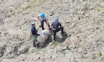 Доброволци спасиха овце, пропаднали в 300-метрова пропаст край Кърджали