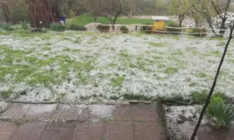 Градушка с размери на лешник падна в района на Ардино