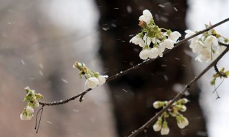 Днес валежите навсякъде ще отслабнат Това ще се случи още