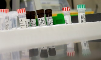 Всекидневното изпращане на справки за заболеваемостта от COVID 19 на територията