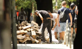Софиянци също посегнаха към дървата, снимката е от центъра на столицата