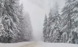 20 см. сняг падна на прохода Петрохан - (СНИМКИ)