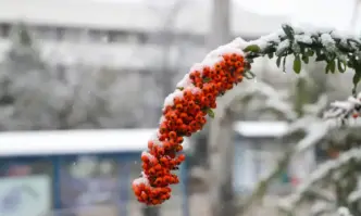 Времето ще е предимно слънчево Ще духа слаб в Дунавската
