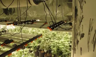 При специализирана полицейска акция в понеделник е бил арестуван координаторът