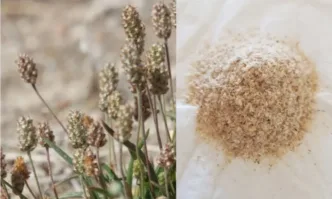 Натурален препарат за прочистване на дебелото черво!