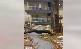 Трети пореден работен ден и четвърти след снеговалежите в София