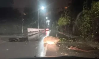 Огромен къс скала падна от Царевец и удари такси