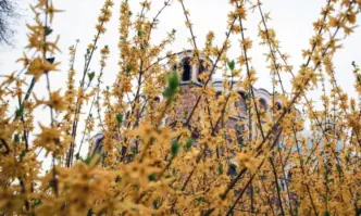 Отбелязваме Цветница – един от най светлите християнски празници Денят е