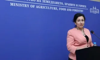 Министър Десислава Танева: Помощта за пропаднали площи ще бъде платена в рамките на месеца