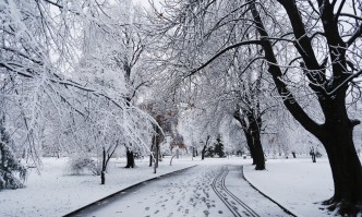 Общо 11 екипа на дирекция Аварийна помощ и превенция работят