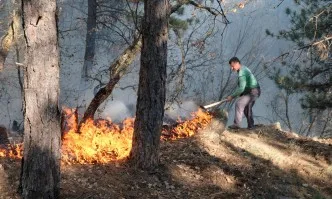 Над 150 дка бор горят над Благоевград